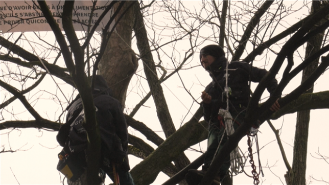 Des activistes occupent des arbres devant le Parlement européen pour interpeller sur un projet d