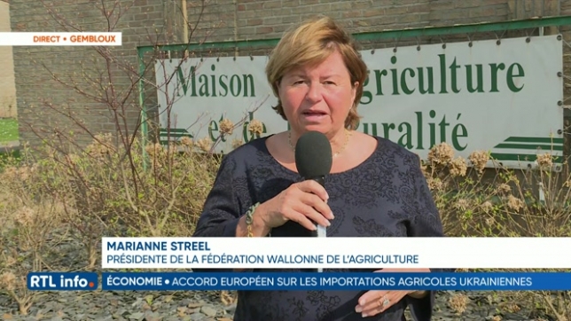 Limitation aux importations ukrainiennes: Marianne Streel réagit en direct