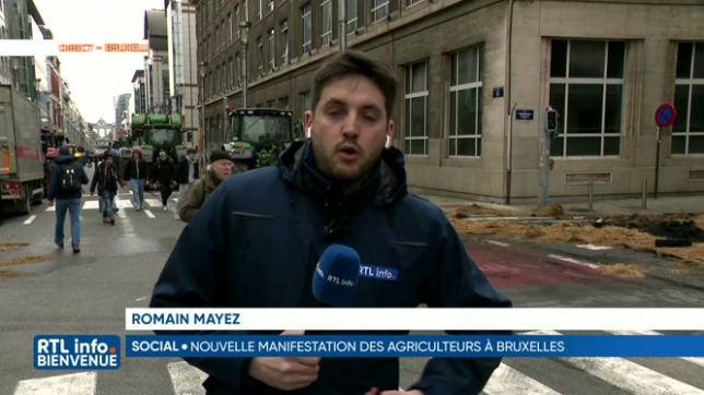 Grogne des agriculteurs: les agriculteurs manifestent à Bruxelles