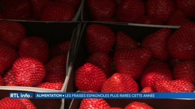 Les fraises espagnoles plus rares et plus chères cette année