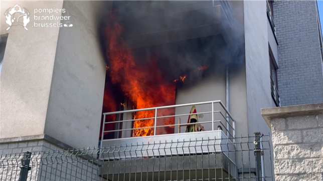 Un incendie se déclare dans un appartement de Molenbeek-Saint-Jean: Un animal de compagnie a été pris en charge