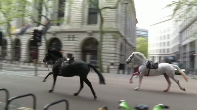 Des chevaux militaires en fuite sèment la pagaille à Londres