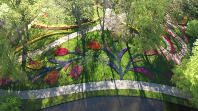 « C’est fantastique » : avec plus de 800 sortes de tulipes, le parc Keukenhof offre un spectacle éblouissant