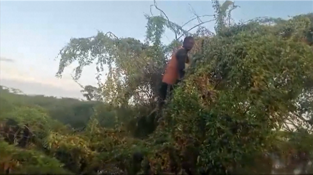 Un Kenyan secouru après 5 jours coincé dans un arbre: le pays fait face à des inondations meurtrières