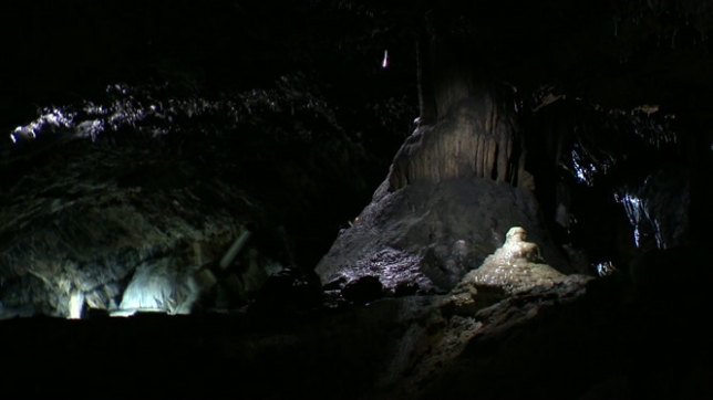 Conservateur, guide, soigneurs: découvrez ceux qui préservent les mystères des Grottes de Han