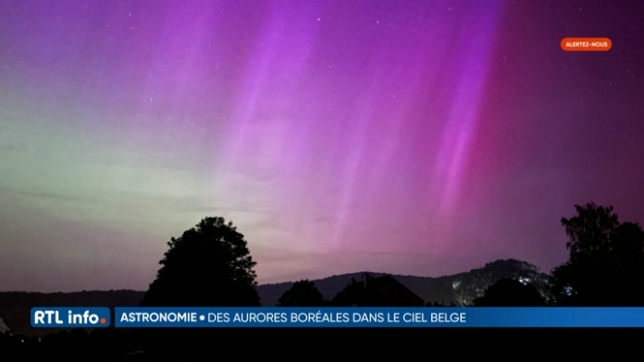 De magnifiques aurores boréales dans le ciel belge suite à une tempête solaire