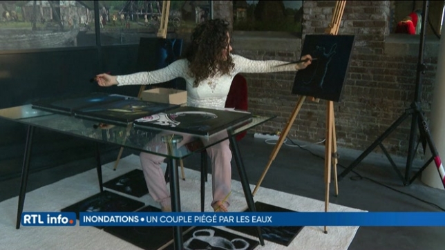 Une peintre néerlandaise a peint silmutanément 10 tableaux