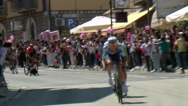 Les coureurs manquent de percuter un chien en plein Giro