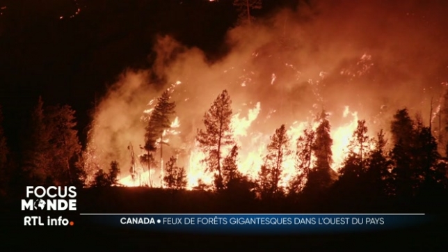 Le Canada une nouvelle fois en proie aux flammes