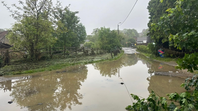 Edition numérique des abonnés