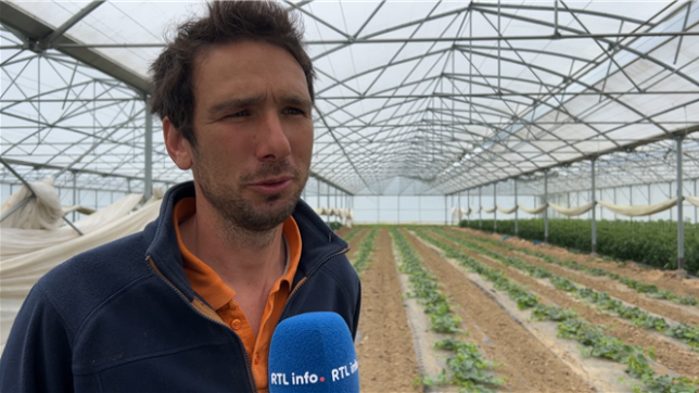 La ferme de Goyet, un leader de la production de melon en Wallonie: Ça fait plus de dix ans qu