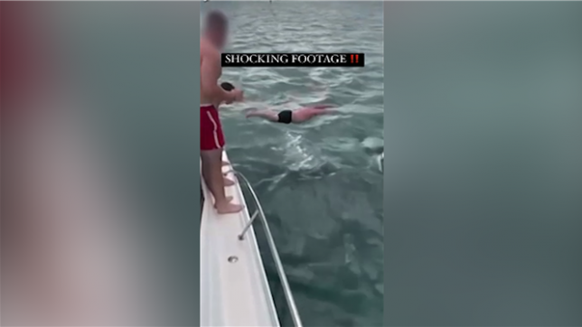 Stupide: il plonge d'un bateau... sur des orques