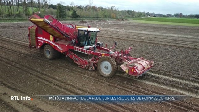 La récolte de pommes de terre sera moins bonne cette année