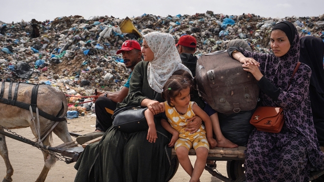 Edition numérique des abonnés