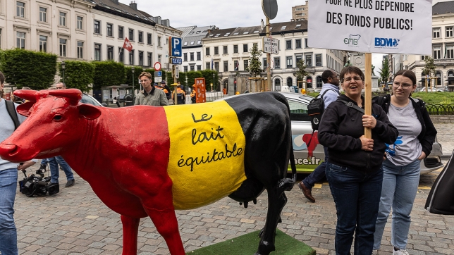 Edition numérique des abonnés