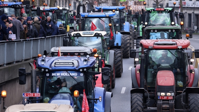 Edition numérique des abonnés