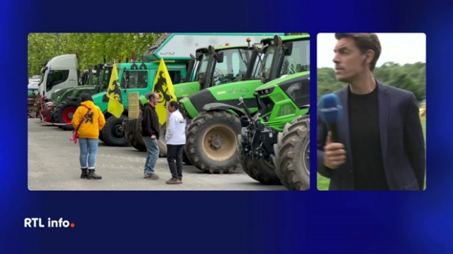 Des agriculteurs européens manifestent ce mardi à Bruxelles