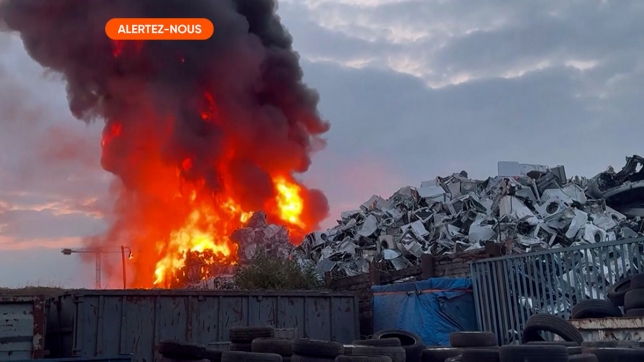 Edition numérique des abonnés