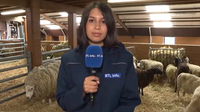 Edition numérique des abonnés