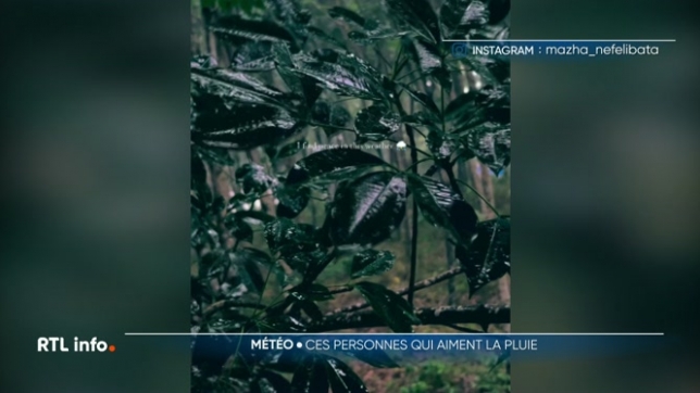 Le printemps sous la pluie a fait le bonheur des pluviophiles