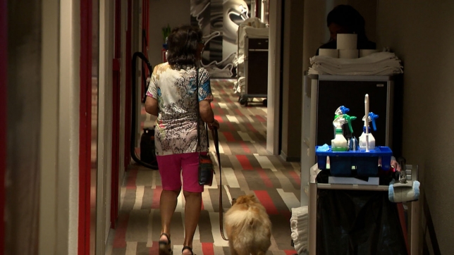 Edition numérique des abonnés