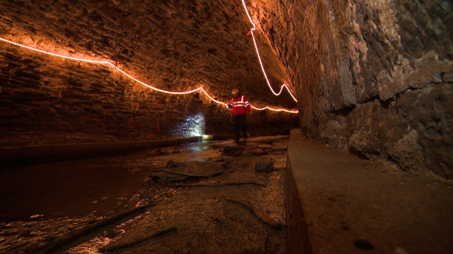 Edition numérique des abonnés