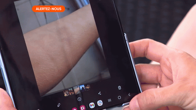 Edition numérique des abonnés