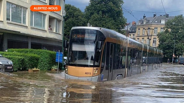 Edition numérique des abonnés