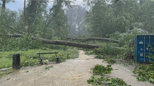 Bébé mort dans un parc à Uccle: un témoin raconte