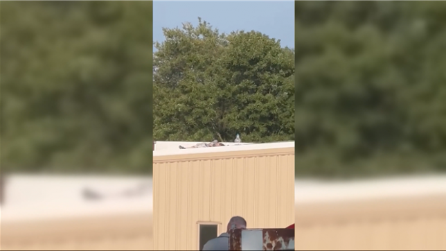 Une image du tireur de Donald Trump est diffusée