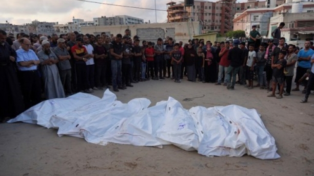 422600c6-f00c-4715-92d3-2711f81a2274