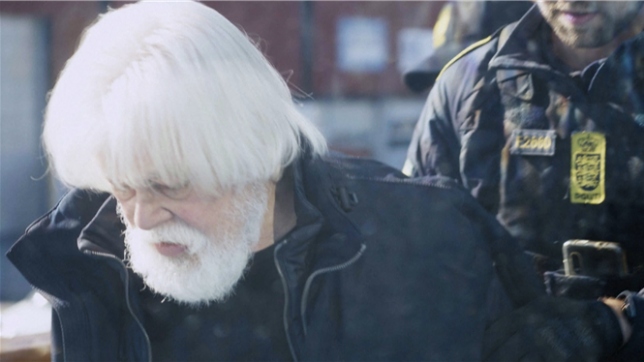 Paul Watson, militant écologiste et fondateur de Sea Shepherd, a été arrêté au Groenland sous un mandat d'arrêt international émis par le Japon. Accusé de harcèlement des navires baleiniers, il est actuellement en détention jusqu'au 15 août, en attendant une décision sur son extradition.