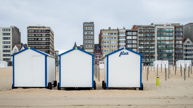 Edition numérique des abonnés