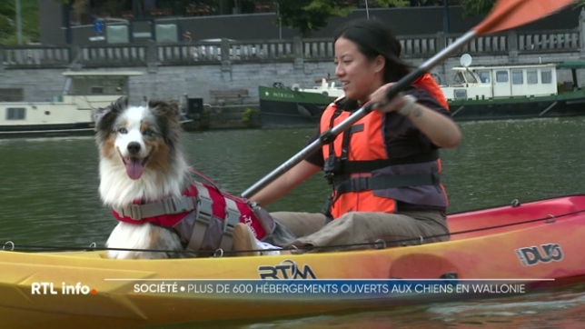 Le toutourisme se développe de plus en plus