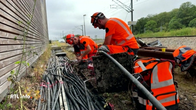 Sabotage du réseau TGV : un mail de revendication envoyé à certains médias
