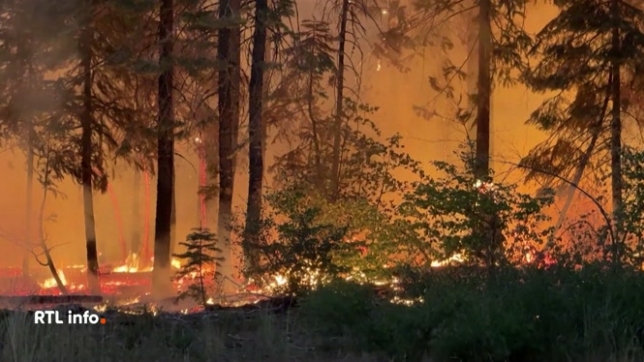 Le mégafeu progresse en Cafilornie, attisé par les vents et les températures