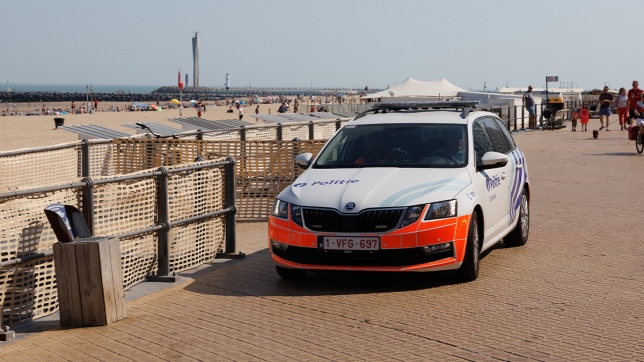 Edition numérique des abonnés