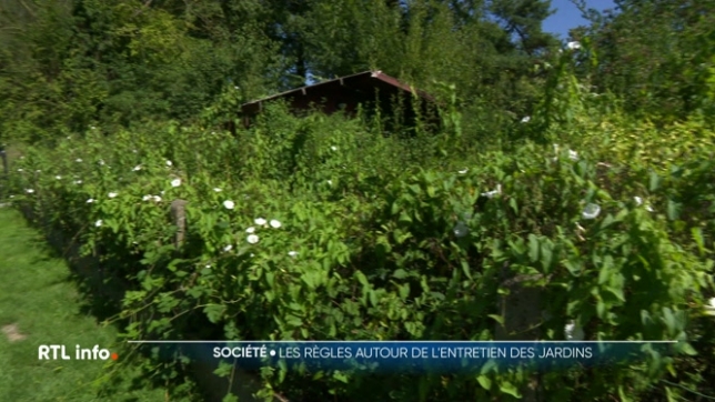 Etes-vous obligé d'entretenir votre jardin, que prévoit la loi en la matière ?