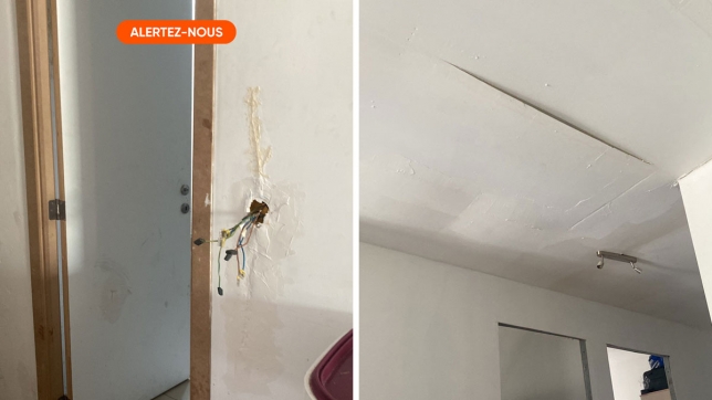 Edition numérique des abonnés