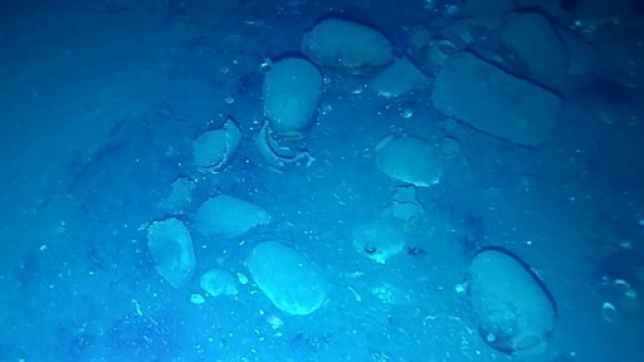 8979e6db-e5ae-43aa-90b4-67de1804e998