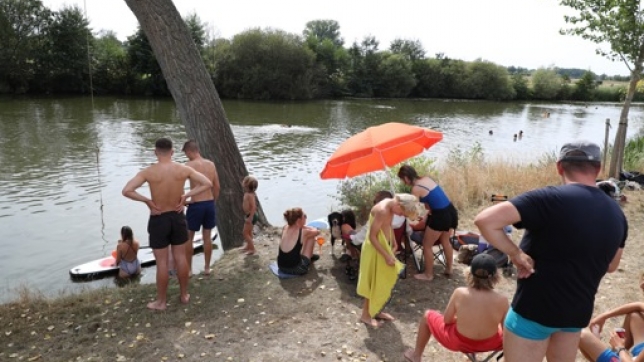 ebb0cd97-3b1c-42e5-8b17-d278ac66a2e7