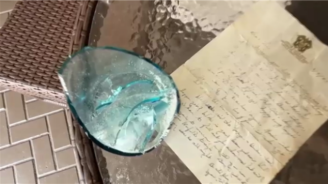 Suzanne, habitante de Floride, fait une découverte incroyable après le passage de la tempête Debby