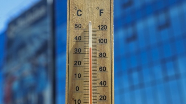 981abc26-7af2-43dc-8d94-89fa92155586