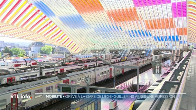 Agression d'un conducteur de train à Liège: des trains supprimés en gare des Guillemins