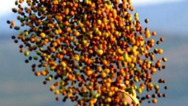 c5cbdd49-183e-42cb-a527-47d93ded15fd