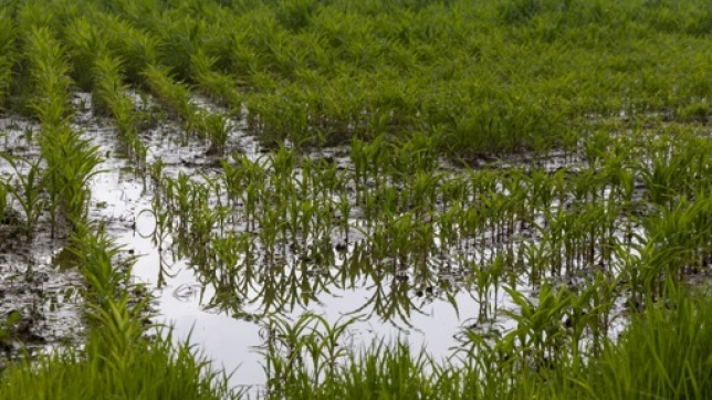 8f58df55-7ae2-4b0c-bb3c-11e5af845396