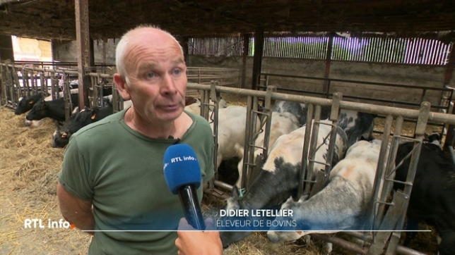 Agriculture: la fièvre catarrhale touche plus de 500 exploitations