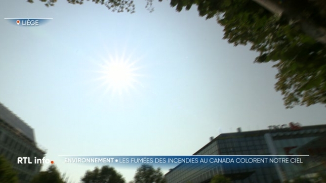Les fumées des incendies au Canada sont arrivées chez nous