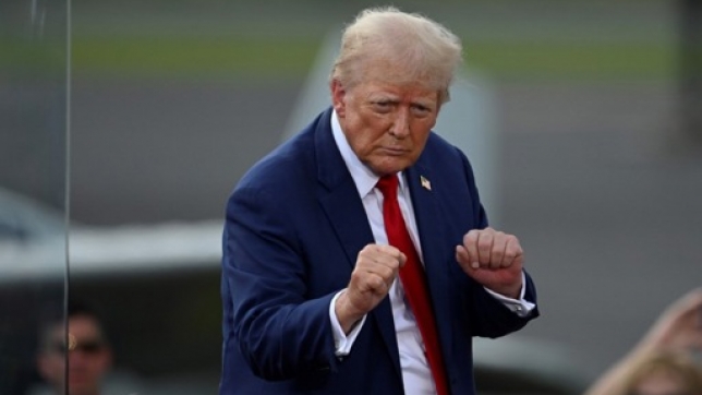 d3913aeb-f285-4fe1-bcd4-1516ab0caa46