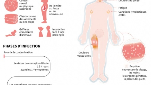 5fd9bdc3-4ca9-47dc-a63d-b74241295352